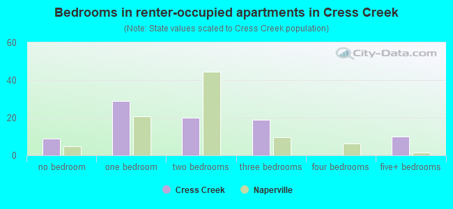 Bedrooms in renter-occupied apartments in Cress Creek