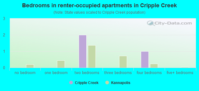Bedrooms in renter-occupied apartments in Cripple Creek