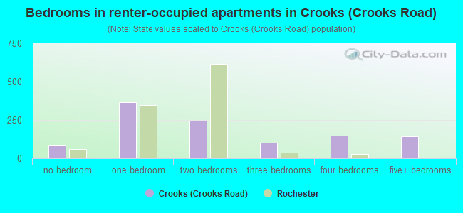 Bedrooms in renter-occupied apartments in Crooks (Crooks Road)