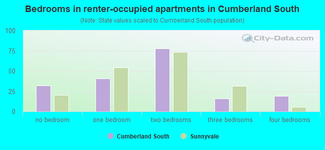 Bedrooms in renter-occupied apartments in Cumberland South