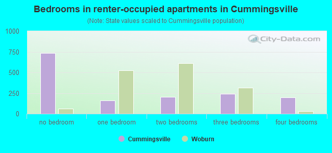 Bedrooms in renter-occupied apartments in Cummingsville