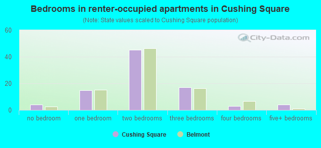 Bedrooms in renter-occupied apartments in Cushing Square
