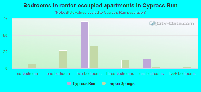 Bedrooms in renter-occupied apartments in Cypress Run