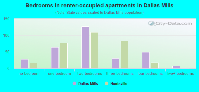 Bedrooms in renter-occupied apartments in Dallas Mills