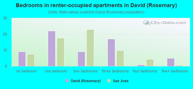 Bedrooms in renter-occupied apartments in David (Rosemary)