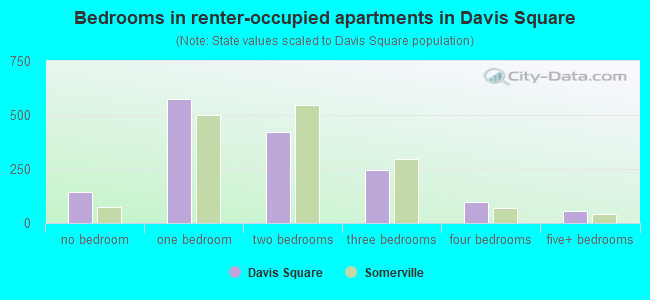 Bedrooms in renter-occupied apartments in Davis Square