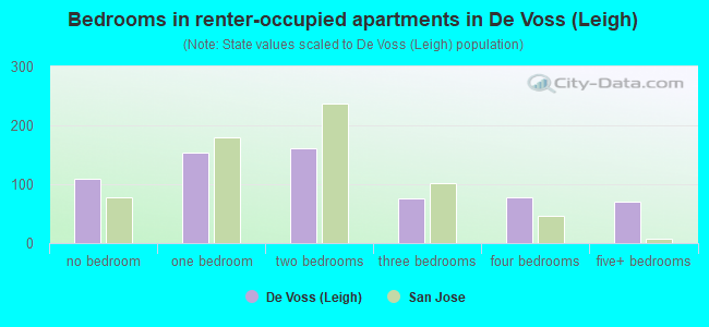 Bedrooms in renter-occupied apartments in De Voss (Leigh)