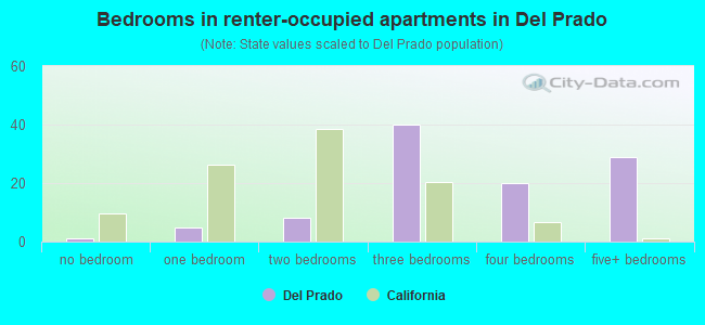 Bedrooms in renter-occupied apartments in Del Prado