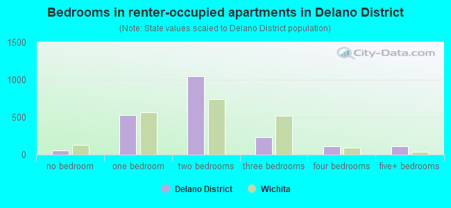 Bedrooms in renter-occupied apartments in Delano District