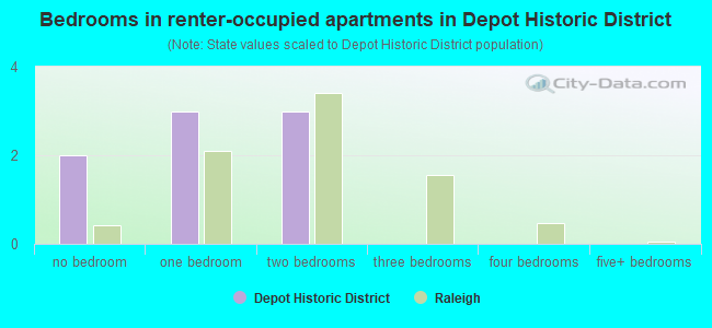 Bedrooms in renter-occupied apartments in Depot Historic District