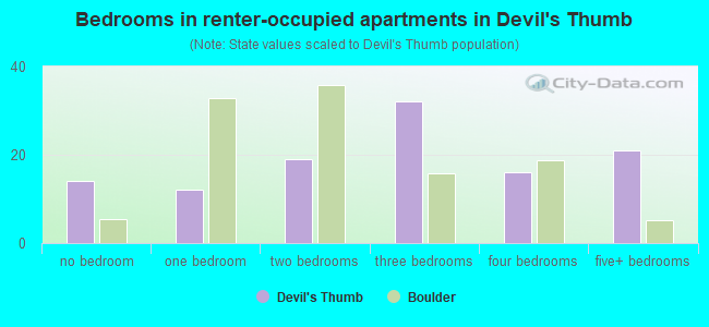 Bedrooms in renter-occupied apartments in Devil's Thumb