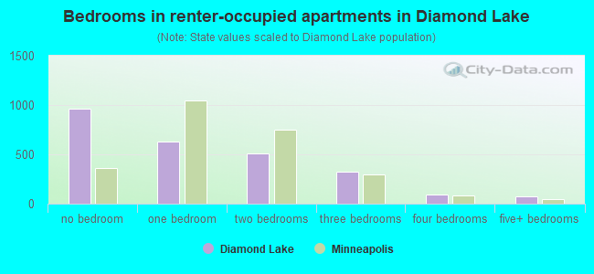 Bedrooms in renter-occupied apartments in Diamond Lake