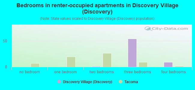 Bedrooms in renter-occupied apartments in Discovery Village (Discovery)