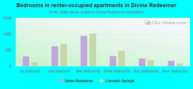 Bedrooms in renter-occupied apartments in Divine Redeemer
