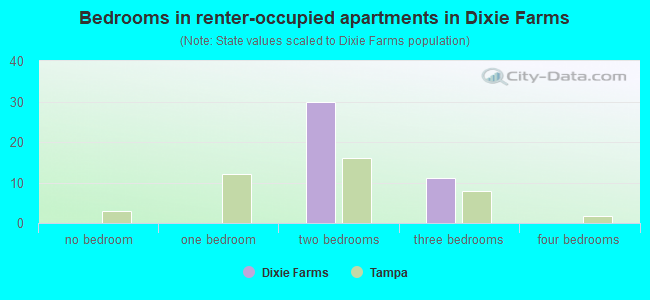 Bedrooms in renter-occupied apartments in Dixie Farms
