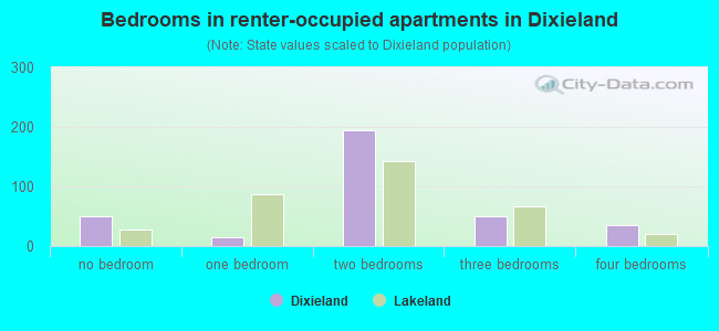 Bedrooms in renter-occupied apartments in Dixieland