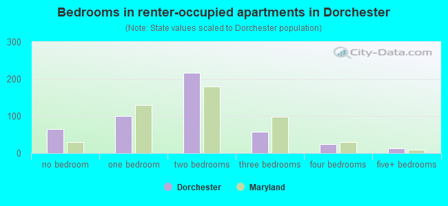 Bedrooms in renter-occupied apartments in Dorchester