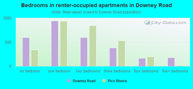 Bedrooms in renter-occupied apartments in Downey Road
