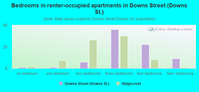 Bedrooms in renter-occupied apartments in Downs Street (Downs St.)