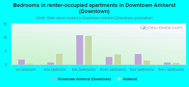 Bedrooms in renter-occupied apartments in Downtown Amherst (Downtown)