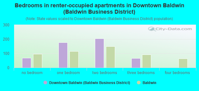 Bedrooms in renter-occupied apartments in Downtown Baldwin (Baldwin Business District)