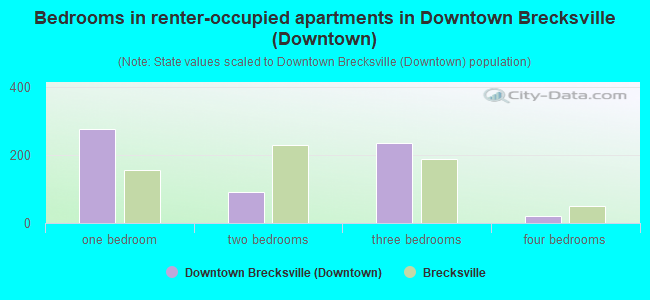 Bedrooms in renter-occupied apartments in Downtown Brecksville (Downtown)