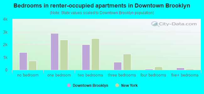 Bedrooms in renter-occupied apartments in Downtown Brooklyn