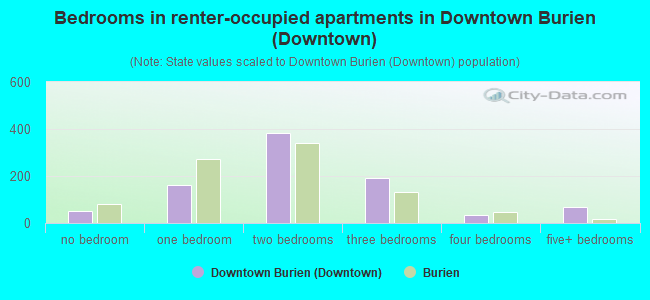 Bedrooms in renter-occupied apartments in Downtown Burien (Downtown)