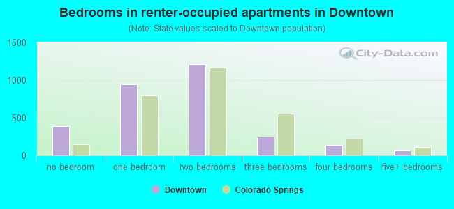 Bedrooms in renter-occupied apartments in Downtown