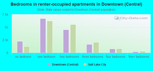 Bedrooms in renter-occupied apartments in Downtown (Central)