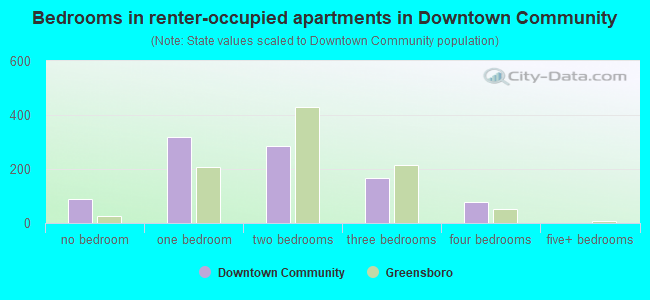 Bedrooms in renter-occupied apartments in Downtown Community