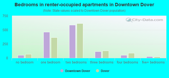 Bedrooms in renter-occupied apartments in Downtown Dover