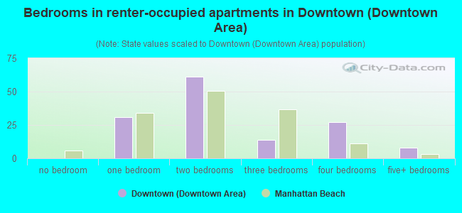 Bedrooms in renter-occupied apartments in Downtown (Downtown Area)