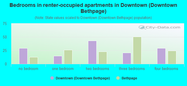 Bedrooms in renter-occupied apartments in Downtown (Downtown Bethpage)