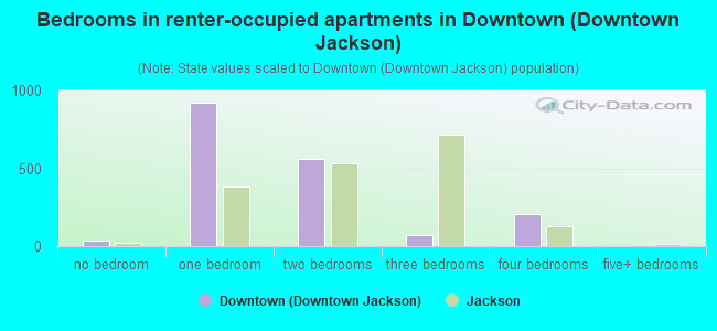 Bedrooms in renter-occupied apartments in Downtown (Downtown Jackson)