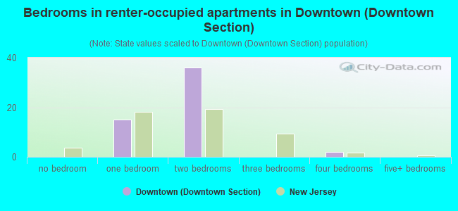 Bedrooms in renter-occupied apartments in Downtown (Downtown Section)