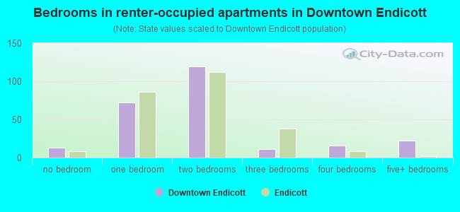 Bedrooms in renter-occupied apartments in Downtown Endicott