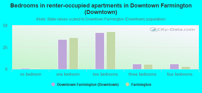 Bedrooms in renter-occupied apartments in Downtown Farmington (Downtown)