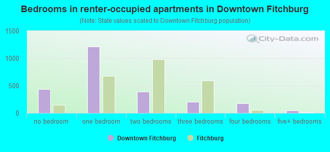 Bedrooms in renter-occupied apartments in Downtown Fitchburg