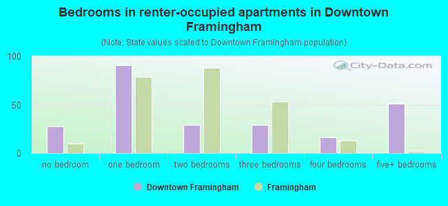 Bedrooms in renter-occupied apartments in Downtown Framingham