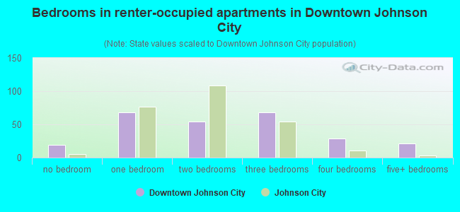Bedrooms in renter-occupied apartments in Downtown Johnson City
