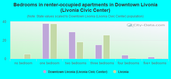 Bedrooms in renter-occupied apartments in Downtown Livonia (Livonia Civic Center)