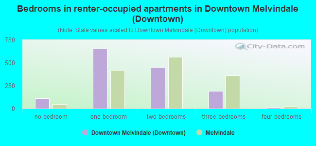 Bedrooms in renter-occupied apartments in Downtown Melvindale (Downtown)