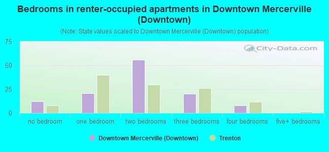 Bedrooms in renter-occupied apartments in Downtown Mercerville (Downtown)