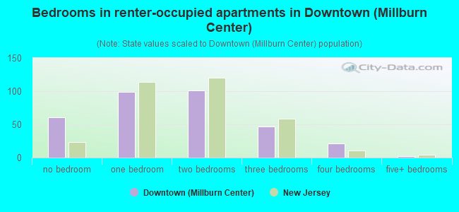 Bedrooms in renter-occupied apartments in Downtown (Millburn Center)