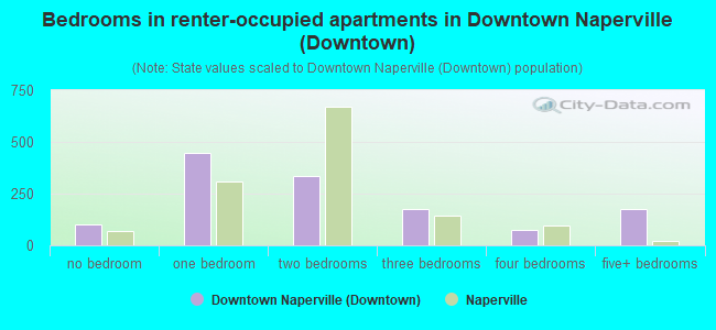 Bedrooms in renter-occupied apartments in Downtown Naperville (Downtown)