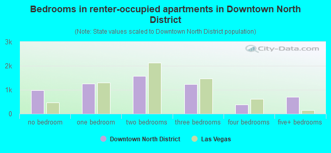Bedrooms in renter-occupied apartments in Downtown North District