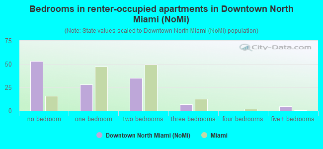 Bedrooms in renter-occupied apartments in Downtown North Miami (NoMi)