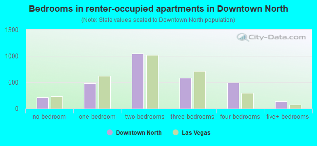 Bedrooms in renter-occupied apartments in Downtown North