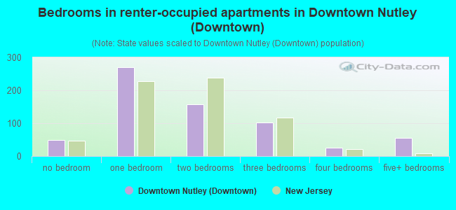 Bedrooms in renter-occupied apartments in Downtown Nutley (Downtown)